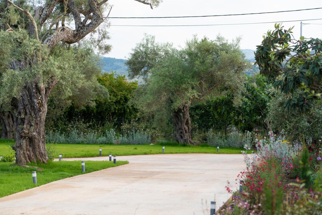 Aerinos Private Villa Lefkáda 외부 사진