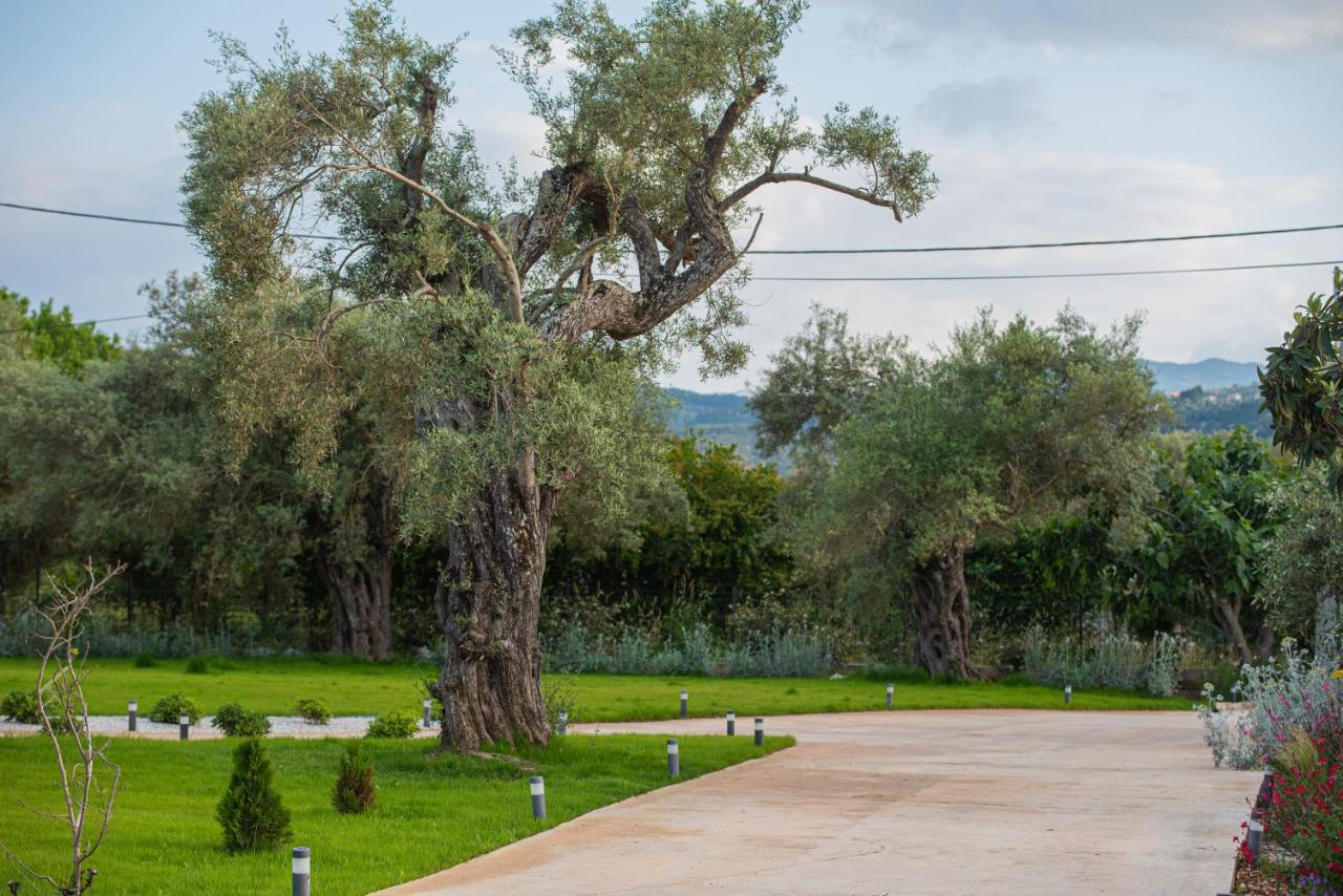 Aerinos Private Villa Lefkáda 외부 사진